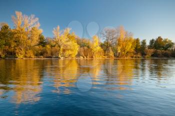 Autumn forest and lake reflection. Autumn landscape. 