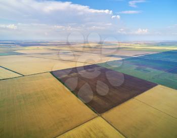 Patchwork meadows and fields. Farmlands from above. Aerial view of agricultural meadows. Nature composition. 