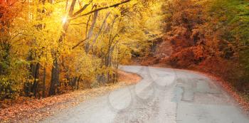 Autumn road and sunny rays. Beautiful nature landscape.