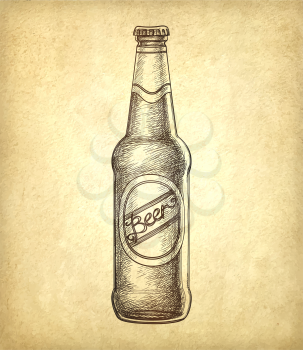 Beer bottle on old paper background. Hand drawn vector illustration. Retro style.