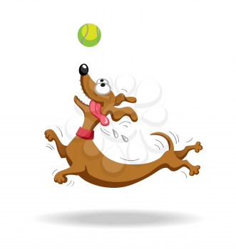 Dachshund dog playing with tennis ball. Vector illustration. Isolated on white background.