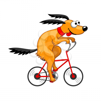 Cute dog riding a bicycle.  Vector illustration. Isolated on white background.