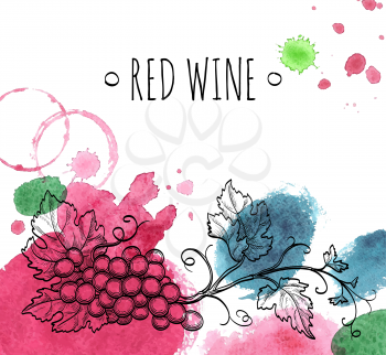 Wine background. Hand drawn vector illustration of grapes. Watercolor stains. 