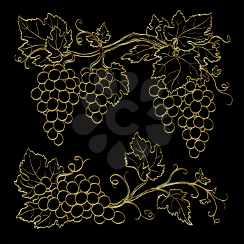 Gold grape branches on black background. Line sketch. Hand drawn vector illustration.
