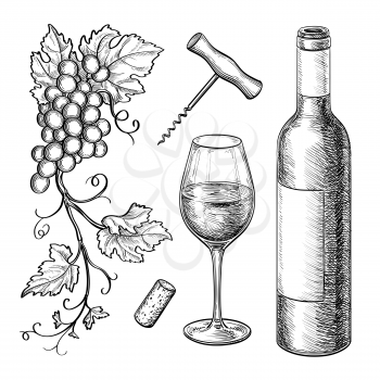Grape branches, bottle, glass of wine, corkscrew, cork. Isolated on white background. Hand drawn vector illustration. Retro style.