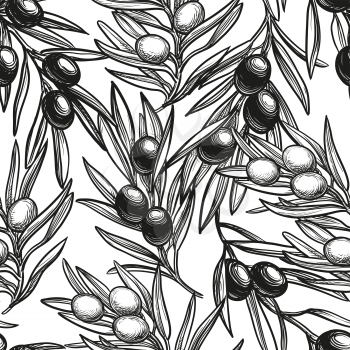 Seamless pattern with olive branch. Hand drawn vector illustration