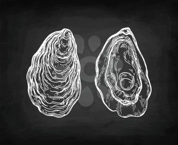 Oysters chalk sketch on blackboard background. Hand drawn vector illustration. Retro style.