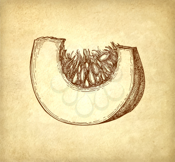 Ink sketch of pumpkin piece on old paper background. Hand drawn vector illustration. Retro style.