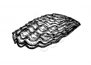 Oyster shell ink sketch. Isolated on white background. Hand drawn vector illustration. Retro style.