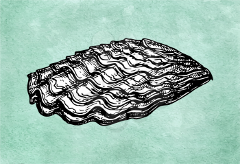 Oyster shell. Ink sketch on old paper background. Hand drawn vector illustration. Retro style.