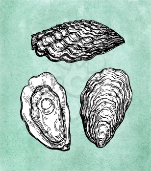 Oysters ink sketch on old paper background. Hand drawn vector illustration. Retro style.
