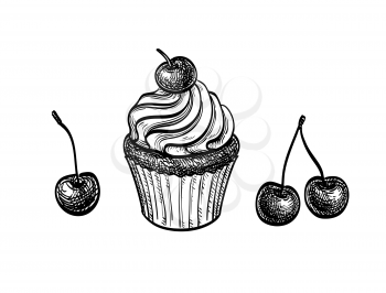 Cupcake with cherry. Ink sketch isolated on white background. Hand drawn vector illustration. Retro style.