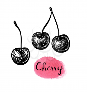Sweet cherry. Ink sketch isolated on white background. Hand drawn vector illustration. Retro style.