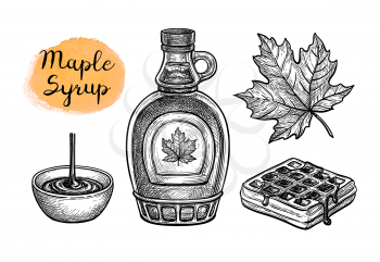 Maple syrup. Collection of ink sketches isolated on white background. Hand drawn vector illustration. Retro style.