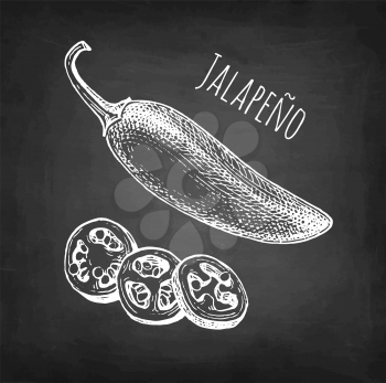 Jalapeno. Chili pepper pod and chopped pieces. Ink sketch isolated on white background. Hand drawn vector illustration. Retro style.