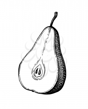 Pear cut in half. Ink sketch isolated on white background. Hand drawn vector illustration. Retro style.