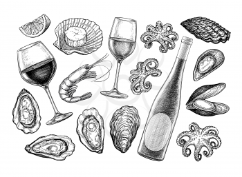 Wine and seafood. Ink sketch collection isolated on white background. Hand drawn vector illustration. Retro style.