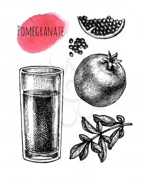Pomegranate juice in glass. Fruits, seeds and branch. Ink sketch isolated on white background. Hand drawn vector illustration. Retro style.