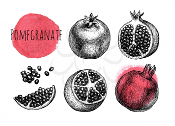 Pomegranate set. Fruits and seeds. Ink sketch isolated on white background. Hand drawn vector illustration. Retro style.