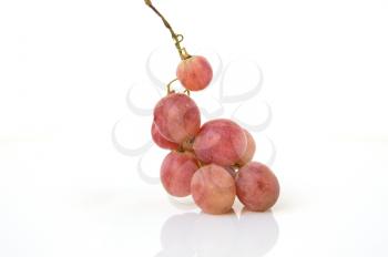 Glowing ripe berries of red grapes on white background