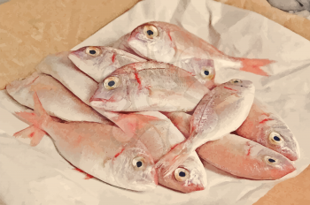 Fresh fish  with red carp  open mouth on paper packaging close up