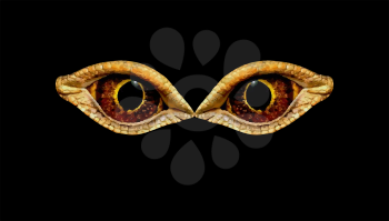 Terrible horrible eyes fantastic animal or bird on a black background. Eyes dinosaur or snakes.