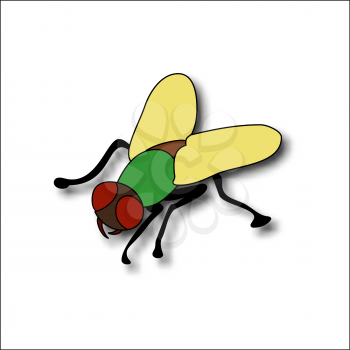 Cartoon fly, insect with bright colors. Housefly volume with shadow.