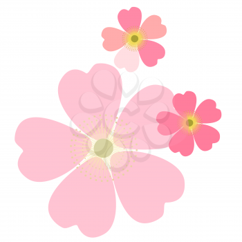 A romantic floral background. Flower. Tender Japanese daisies delicate color