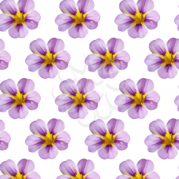 floral pattern. Seamless pattern of floral magic pink Superbells Evening Star flowers.