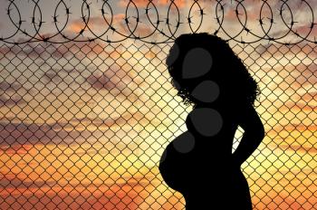 Concept of the refugees. Silhouette of a pregnant refugee near the border fence at sunset