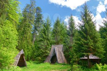 Old hut in the coniferous forest. The concept of tourism and travel