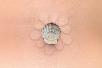 Decoration seashell on the woman's abdomen. recreation and tourism concept