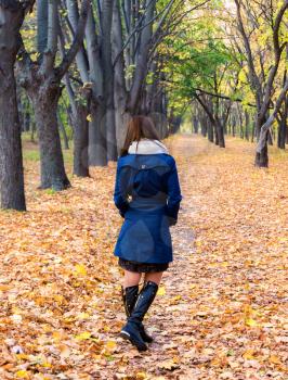 Concept of the fall season. Lonely woman in a bright autumn forest Rear view