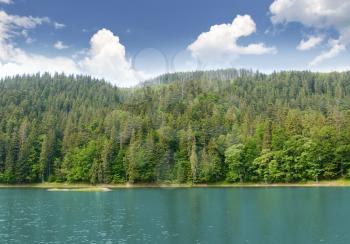 Mountain lake in the woods on a background of mountains. Summer landscape