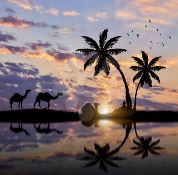 Silhouette of a caravan of camels and Bedouin resting near the river at sunset.