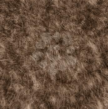 The texture of fur bear - close-up. Fashion element design.