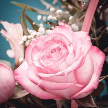 Beautiful romantic a pink rose bud - close-up.