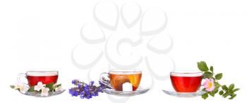collage Herbal tea on white background