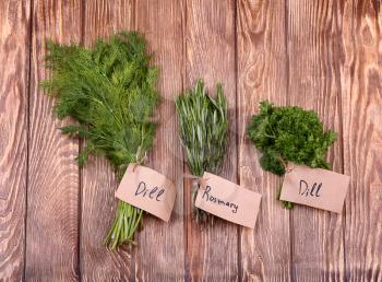 Different fresh herbs on wooden background