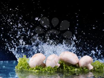Mushrooms and salad with water drop splash