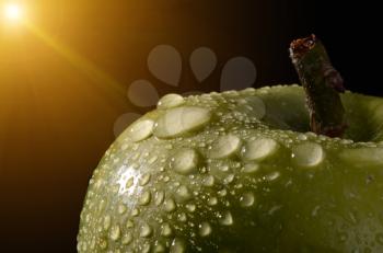 Macro of freshly picked green apples with water droplets.