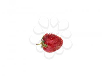 background of strawberries in two rows in isolation top view