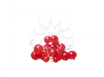 Branches of berry red currants isolated on a white background