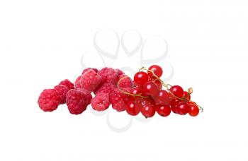 Branches of berry red currants isolated on a white background