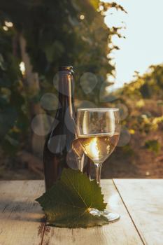 One glass and bottle of the white wine in autumn vineyard. on wooden table Harvest time, sundown on vineyard in autumn