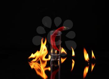 Stack of tequila on fire. Red burning pepper in a glass with alcohol also burns with fire in black background