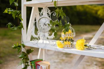 Happy outdoor Wedding Ceremony Scene for a summer mountain wedding. Wedding aisle, decorated wedding alter and flower decorations with mountains in the background. Wedding color pear