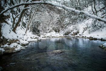 Winter landscape with the wood river. Russian winter. Ctimea Grand Canion