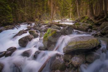 rushing blue river in a mountain forest. Mountain landscape. North Caucasus