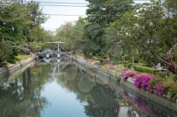 River in Bangkok, Thailand, beautiful purple flowers along the canal banks